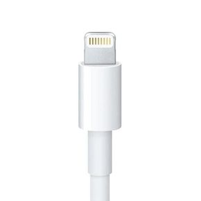 Apple-Adaptador-De-Lightning-Para-30-Pinos-0.2M-4