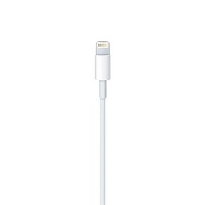 Cabo-USB-Para-Lightning-Apple-1-Metro-2
